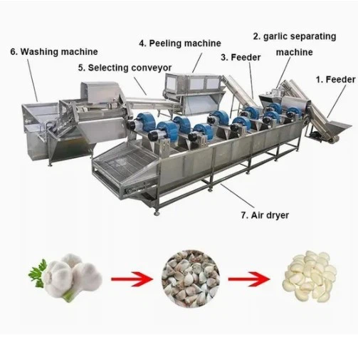 Garlic Peel Remover Machine